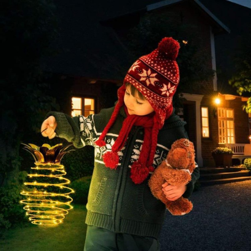 Guirlande lumineuse solaire LE - Outdoor Lighting Wire avis et prix